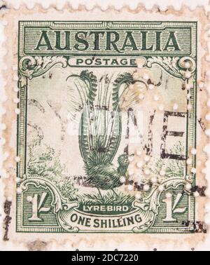Antwerpen, Belgio - 17 novembre 2020: Un francobollo stampato da Australian Post, presenta un Lyrebird Foto Stock