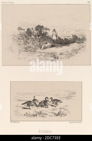 Karl Bodmer, (artista), svizzero, 1809 - 1893, Etudes, litografia Foto Stock