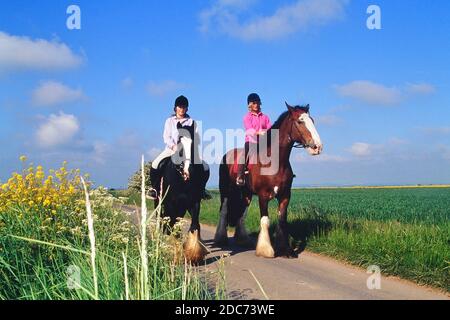 Due cavalieri femminili che cavalcano cavalli pesanti nella campagna del Lincolnshire Wolds. Inghilterra. REGNO UNITO Foto Stock