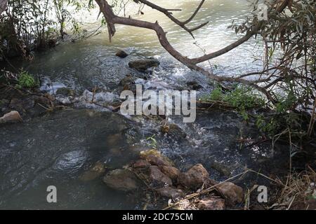 Canne sulle rive del fiume Jordan Foto Stock