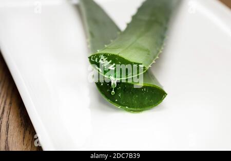 Due foglie verdi di aloevera appena tagliate giacciono su una piastra di porcellana bianca e il liquido idratante trasparente gocciola dal taglio pulito. Foto Stock