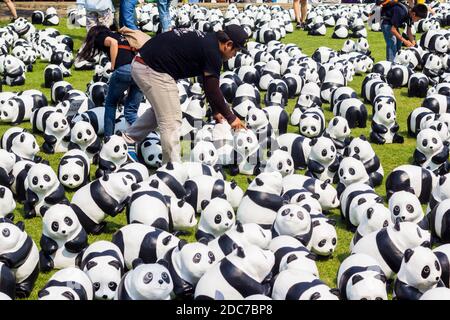 L'installazione artistica del 1600 Pandas di Paulo Grangeon a Bangkok, Thailandia Foto Stock