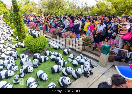L'installazione artistica del 1600 Pandas di Paulo Grangeon a Bangkok, Thailandia Foto Stock