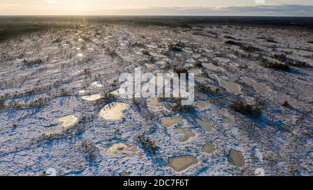 Vista aerea dello scenario della torba estone con il Fresca copertura di neve e ghiaccio sulla natura della torbiera di Mukri prenota Foto Stock