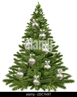 Bellissimo albero di Natale con la neve sui rami su sfondo bianco. Il rendering 3D. Foto Stock