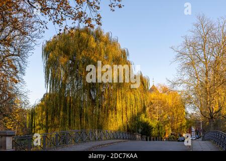 I parchi pubblici intorno al Castello di Wolfsburg sono pieni di colori autunnali. Questo è un luogo perfetto per le passeggiate del fine settimana. Foto Stock