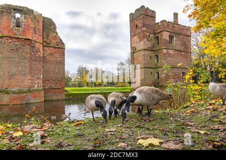 Il castello di Kirby Muxloe è una casa padronale fortificata incompiuta del XV secolo a Kirby Muxloe, Leicestershire, Inghilterra. Regno Unito Foto Stock