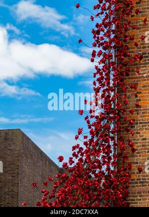 Weeping Willow from the installation Blood Swept Lands and Seas of Red di Paul Cummins in mostra al Derby Silk Mill nel luglio 2017. Foto Stock