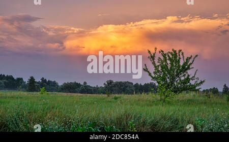 Suggestivo paesaggio rurale tramonto in Ucraina centrale, distretto di Bohuslav. Foto Stock