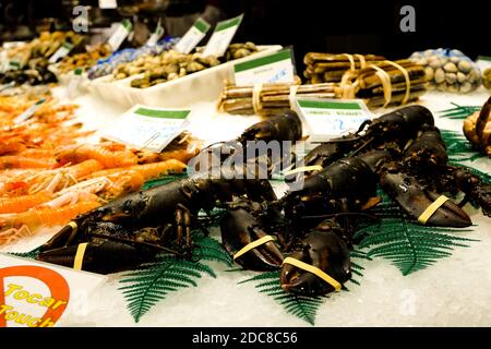 Vendita di aragoste e gamberetti europei sul famoso mercato la Boqueria di Barcellona. Spagna. Foto Stock