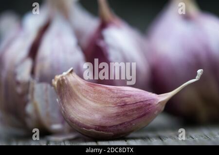 Spicchi di aglio e bulbi crudi, aromatici e viola da vicino su una superficie di legno grigio con sfondo sfocato Foto Stock