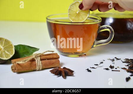 La ragazza mette un limone in una tazza trasparente e teiera con tè nero, tè secco che prepara sul tavolo, fette di bergamotto, o limone o lime su uno sfondo bianco. Foto Stock