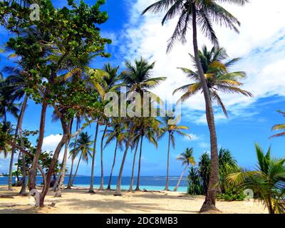 Caravelle Beach a Sainte-Anne, Guadalupa Foto Stock