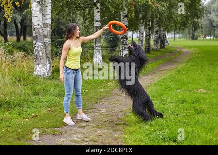 La Briard nera gioca con la sua proprietaria nel parco pubblico. La giovane donna gioca con il cane dai capelli lunghi con l'aiuto del giocattolo di giorno. Foto Stock