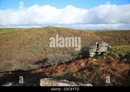 Vista autunnale da Bench Tor, attraverso Dart Gorge verso Holne, Dartmoor National Park, Devon, Inghilterra, Regno Unito Foto Stock