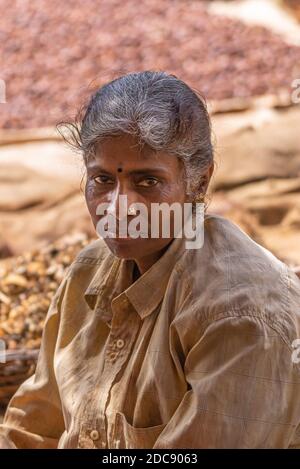 Chikkanayakanahalli, Karnataka, India - 3 novembre 2013: Ritratto closeup di donna che si ghiaia con camicia beige e gioielli al naso. Foto Stock