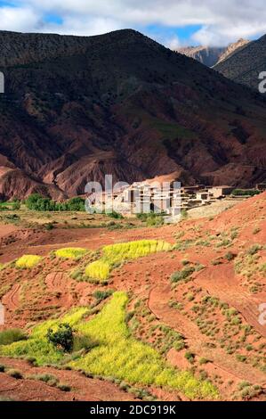 Villaggio nelle montagne dell'Atlante, Marocco, Africa Foto Stock