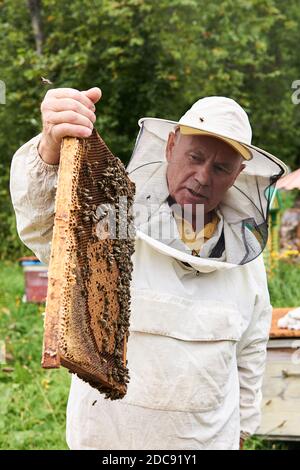 Perm, Russia - 13 agosto 2020: L'apicoltore esamina il telaio della cova rimosso dall'alveare, tenendolo in mano Foto Stock