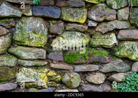 un muro di pietra a secco tradizionale coperto di lichene e muschio con erbacce che crescono dalle crepe. Foto Stock