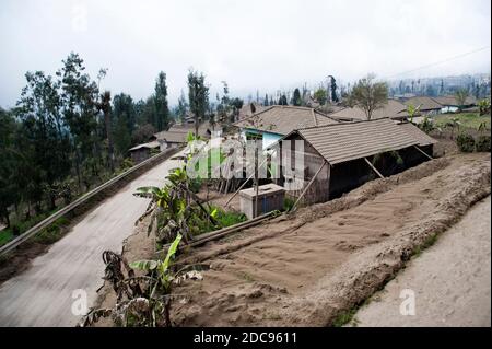 Cemoro Lawang coperto di cenere dal Monte bromo, Giava Est, Indonesia, Asia Foto Stock