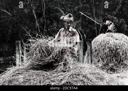 Daily Lifestyle Foto di gente di strada in Bangladesh Foto Stock