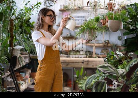 Donna giardiniere in tute arancioni annaffiatura casa in serra circondata da piante e pentole, utilizzando annaffiatura bianco può metallo. Giardeni domestici Foto Stock