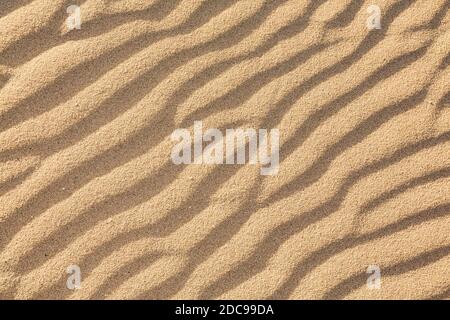 Sabbia su una spiaggia o una duna con ondulata andamento ondulata delle increspature. Corralejo dune di sabbia Fuerteventura Foto Stock