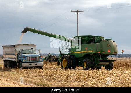 Raccolta di mais, fine autunno, Midwestern USA, di James D Coppinger/Dembinsky Photo Assoc Foto Stock