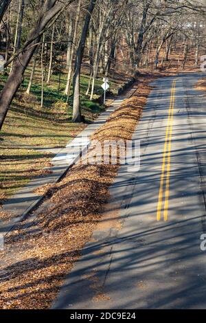 Parte lungo la strada della città, in attesa di ritiro per il riciclaggio, Kalamazoo, MI, USA, di James D Coppinger/Dembinsky Photo Assoc Foto Stock