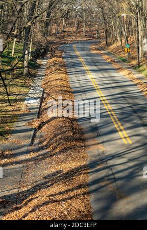 Parte lungo la strada della città, in attesa di ritiro per il riciclaggio, Kalamazoo, MI, USA, di James D Coppinger/Dembinsky Photo Assoc Foto Stock