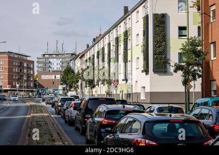 13.10.2020, Essen, Renania Settentrionale-Vestfalia, Germania - il greening a parete delle case recentemente rinnovate dell'Allbau Wohnungsbaugesellschaft sulla t Foto Stock