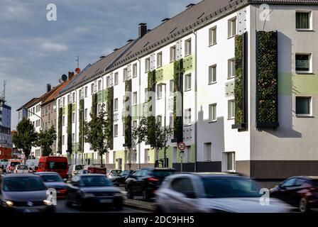 13.10.2020, Essen, Renania Settentrionale-Vestfalia, Germania - il verde di una faade a parete su edifici residenziali dell'Allbau Wohnungsbauge appena rinnovati Foto Stock