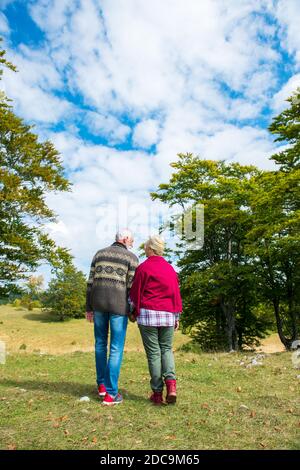 Indietro ritratto Coppia anziano che cammina in una bella natura Foto Stock