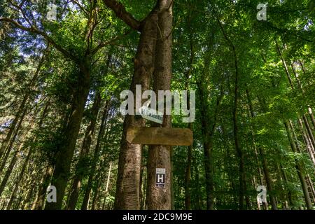 Vecchio marcatore di modo di metallo nella foresta tedesca sopravfatta da corteccia Foto Stock