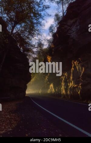 I raggi di luce dell'auto che si avvicina brillano sulla roccia in autunno foresta durante la notte Foto Stock