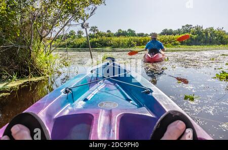 Vista in kayak sul fiume Guana a Ponte Vedra Beach, Florida. (STATI UNITI) Foto Stock