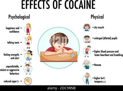 Effetti delle informazioni sulla cocaina illustrazione infografica Illustrazione Vettoriale