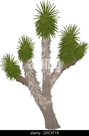 Joshua Tree isolato su sfondo bianco illustrazione Illustrazione Vettoriale