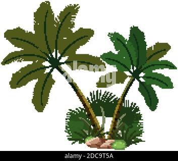 Due palme con elementi naturali su sfondo bianco illustrazione Illustrazione Vettoriale