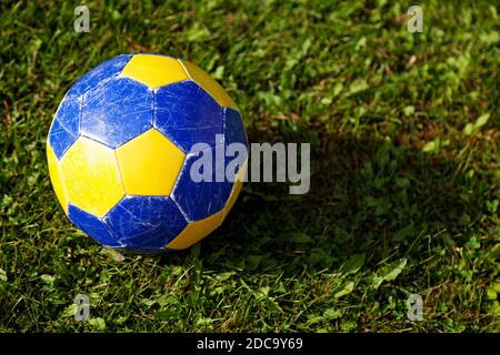 calcio giallo e blu su erba verde Foto Stock