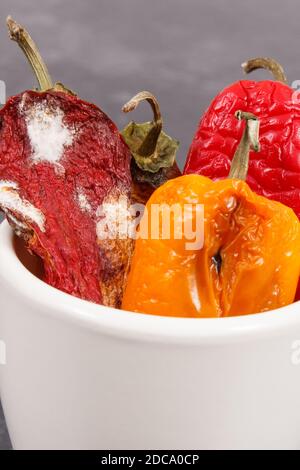 Vecchio rugoso peperoni con stampo, concetto di malsano e cibo disgustoso Foto Stock