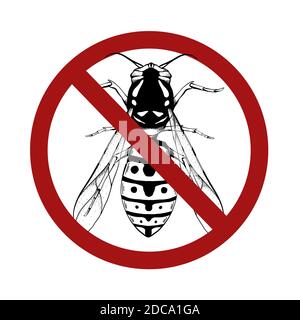 Contorno schizzo nero di una vespa con una vista dall'alto in un segno rosso proibito su uno sfondo bianco. Dissezione di insetti volanti. Oggetto vettoriale per Illustrazione Vettoriale