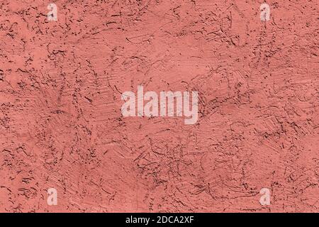 Corallo rosa a basso contrasto con fondo testurizzato in cemento Foto Stock
