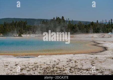 Il vapore si innalza dal colorato Lago Sunset mentre lo Spouter erutta sullo sfondo a destra. Black Sand Basin, Yellowstone National Park, Wyoming, Stati Uniti. Foto Stock