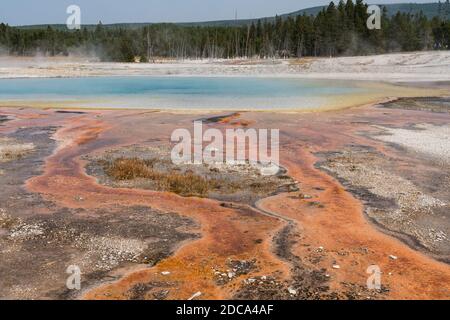 L'acqua calda con un tappetino di batteri termofili colorati drenano Dalla piscina arcobaleno come vapore sale nel nero Bacino di sabbia di Yellowstone National Park Foto Stock