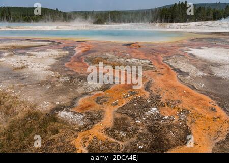 L'acqua calda con un tappetino di batteri termofili colorati drenano Dalla piscina arcobaleno come vapore sale nel nero Bacino di sabbia di Yellowstone National Park Foto Stock