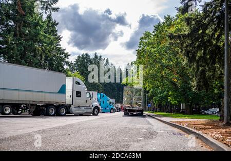 Diverse marca e modelli di grandi carri semi-camion e. semirimorchi caricati in piedi nell'area di riposo parcheggio all'interno foresta verde per fare una pausa e foll Foto Stock