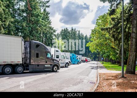 Diverse marca e modelli di grandi carri semi-camion e. semirimorchi caricati in piedi nell'area di riposo parcheggio all'interno foresta verde per fare una pausa e foll Foto Stock