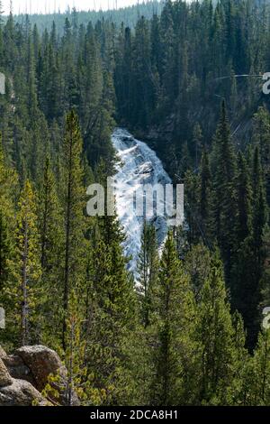 Le Cascades della Virginia sono una cascata sul fiume Gibbon nel Parco Nazionale di Yellowstone nel Wyoming, Stati Uniti. Foto Stock