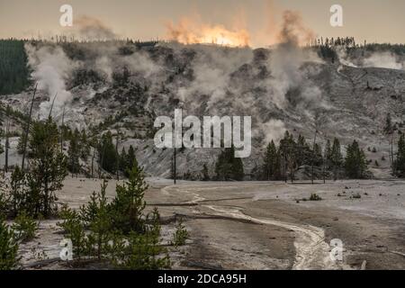 Il vapore sale dalle fumarole sul Monte Roaring all'alba nel Parco Nazionale di Yellowstone, Wyoming. STATI UNITI. Foto Stock